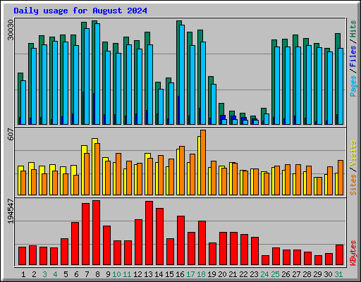 Daily usage for August 2024