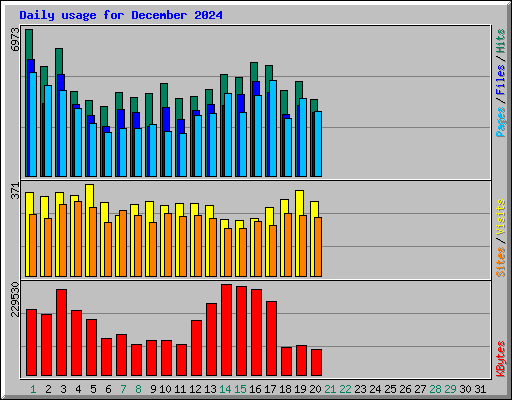 Daily usage for December 2024