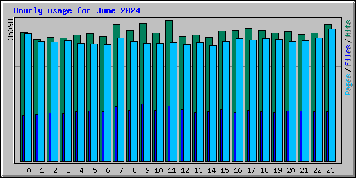 Hourly usage for June 2024