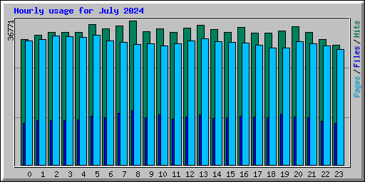 Hourly usage for July 2024