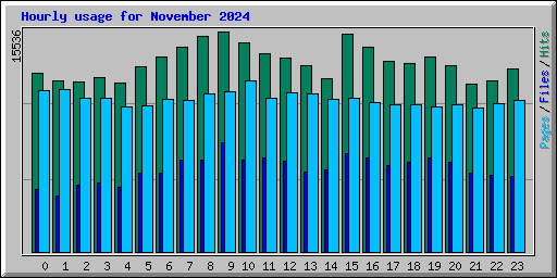 Hourly usage for November 2024