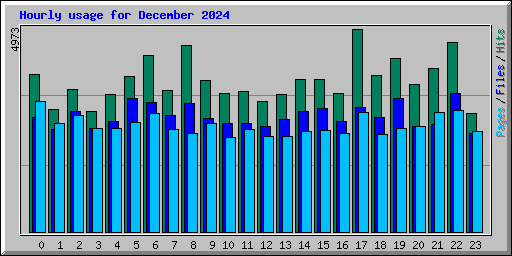 Hourly usage for December 2024