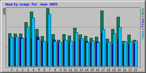 Hourly usage for June 2025