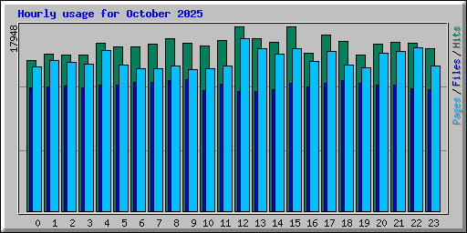 Hourly usage for October 2025