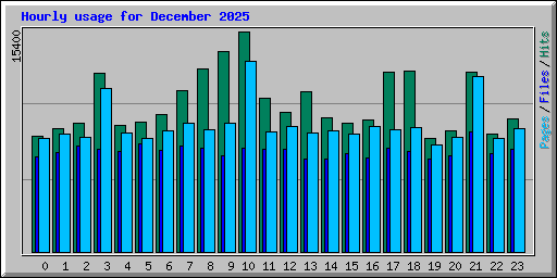Hourly usage for December 2025