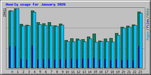 Hourly usage for January 2026